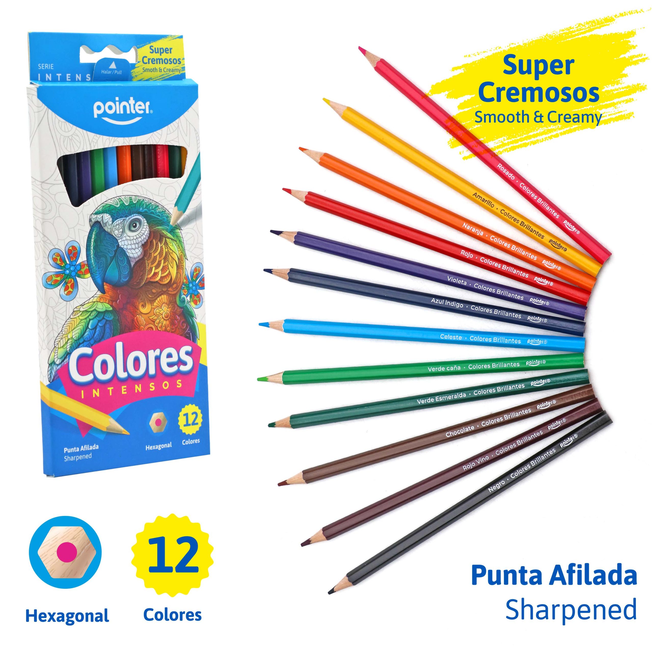 Lápices de Colores Intensos Super Cremosos – 12 Colores Pointer