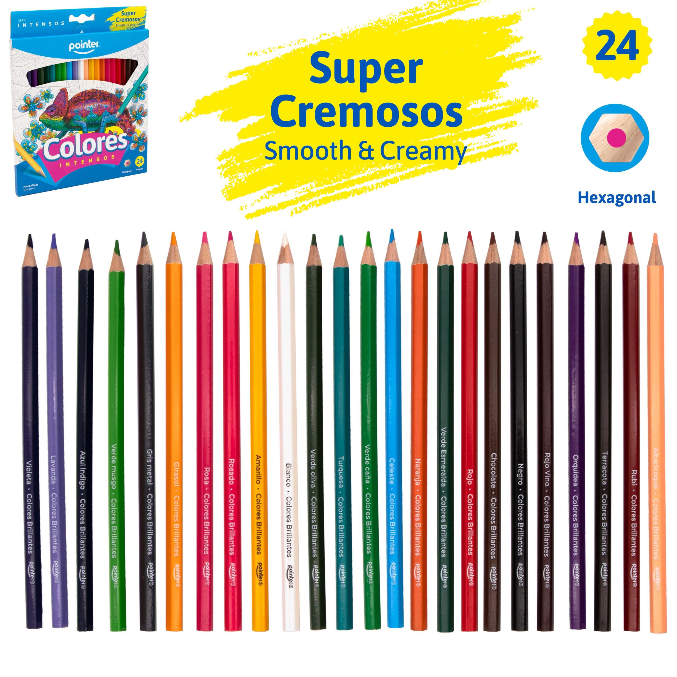 Lápices de Colores Intensos Super Cremosos – 24 Colores Pointer