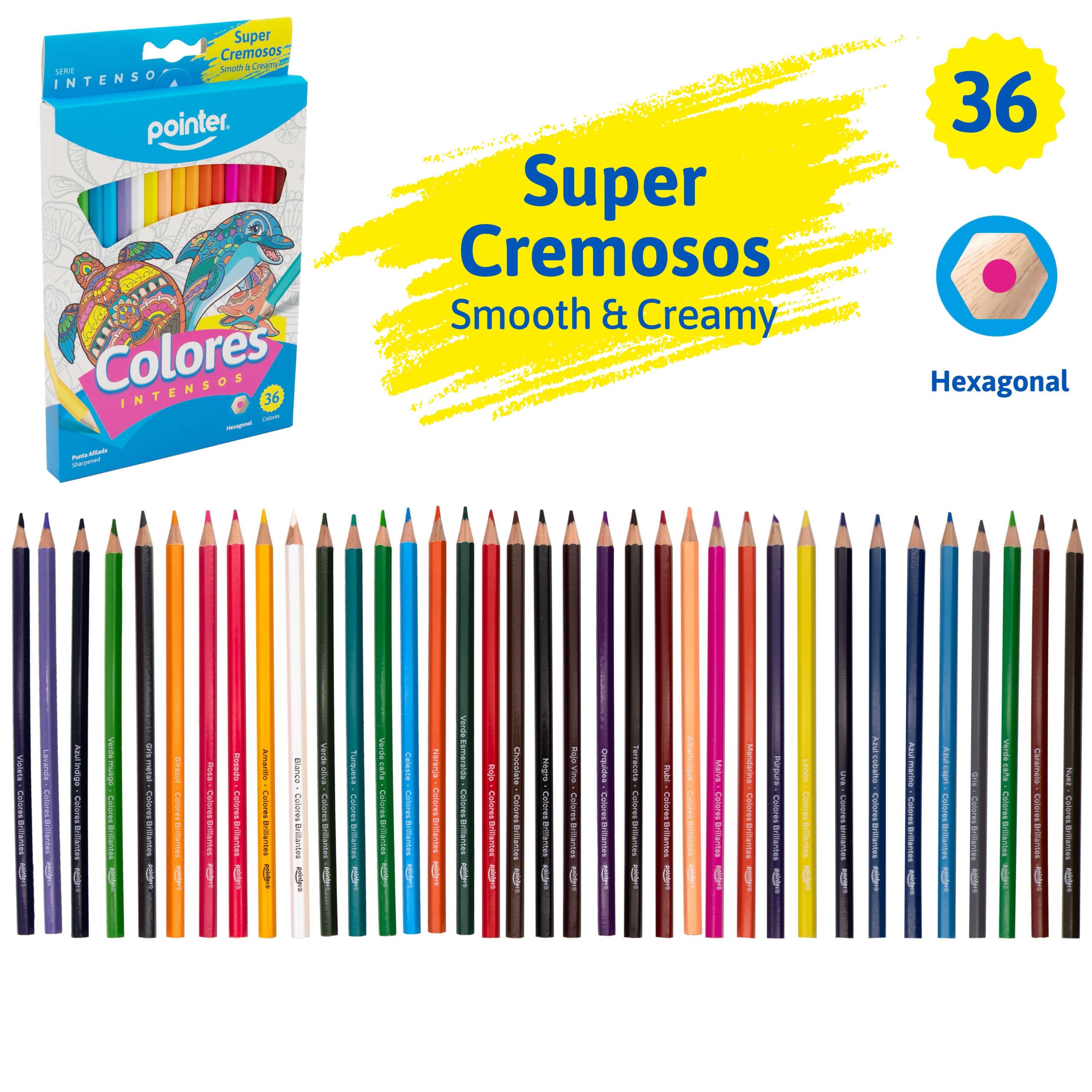 Lápices de Colores Intensos Super Cremosos – 36 Colores Pointer